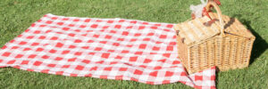 A picnic basket on a red and white checkered blanket on grass